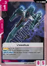 Vesalius (ST04-016)